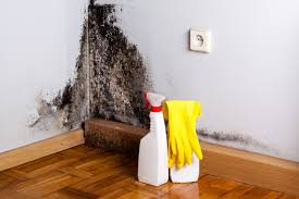 Best Environmental Consulting for Mold Prevention in Corning, CA